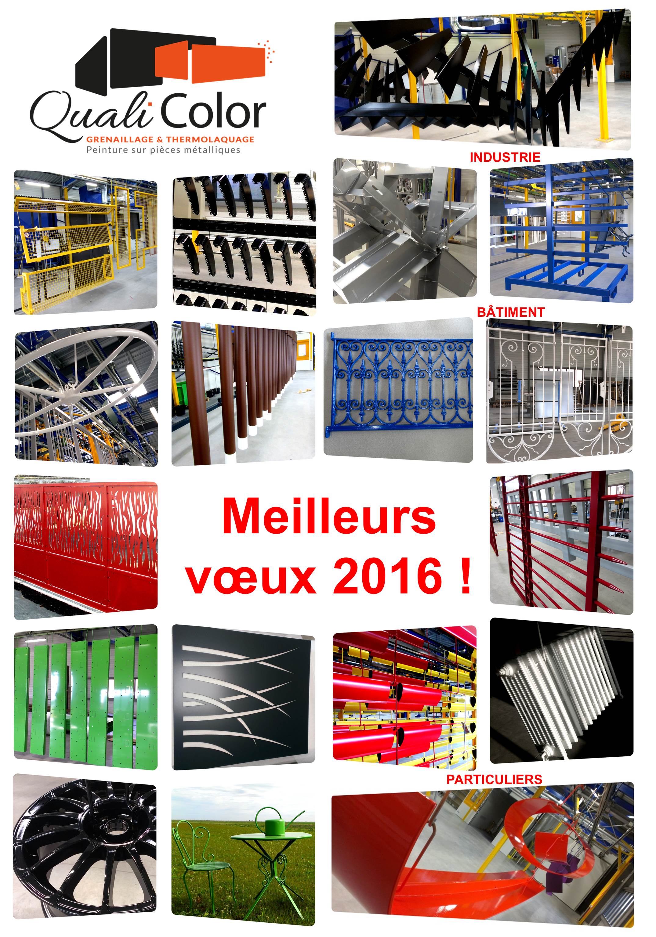 voeux2016V4