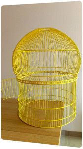 grille cage oiseaux acier laquage peinture jaune la rochelle ile de re oleron rochefort saintes